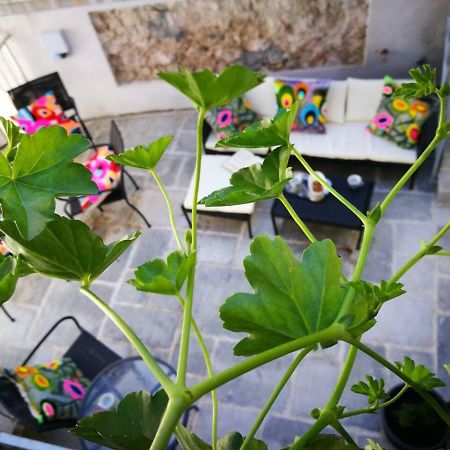 Cres Art Studio Lime Apartment Luaran gambar